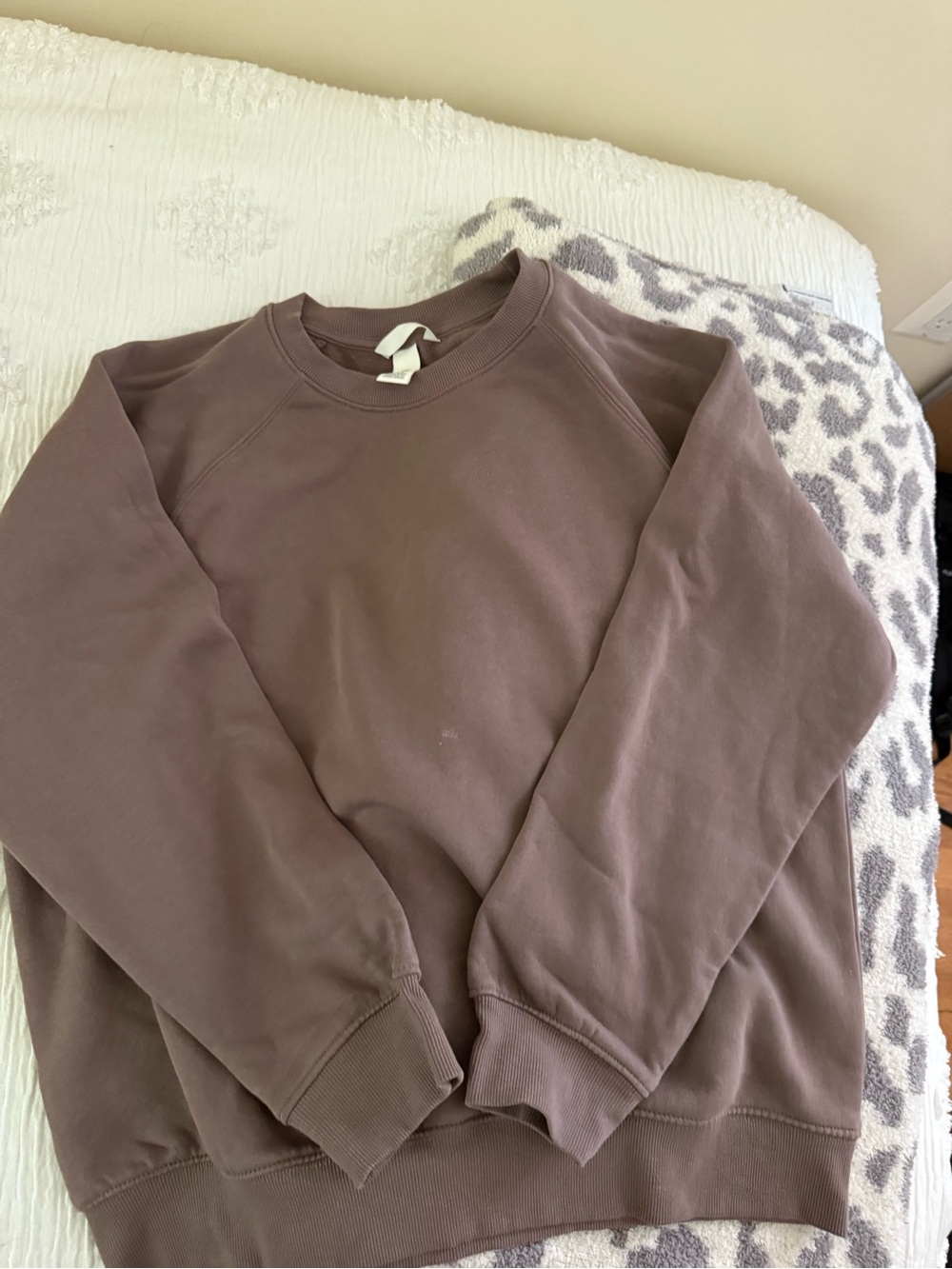 Crewneck Sweatshirt in Taupe
